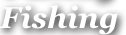 shapeimage_15_link_2