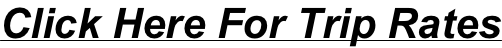 shapeimage_24_link_0