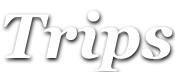 shapeimage_6_link_2